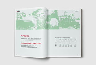 世界500强 上市公司陕西煤业股份企业形象画册设计